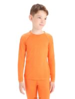 Icebreaker Kids Merino 200 Oasis Long Sleeve Crewe Thermal Top Z04NXR942 Clothing Flash