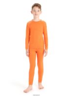 Icebreaker Kids Merino 200 Oasis Long Sleeve Crewe Thermal Top Z04NXR942 Clothing Flash - Image 3