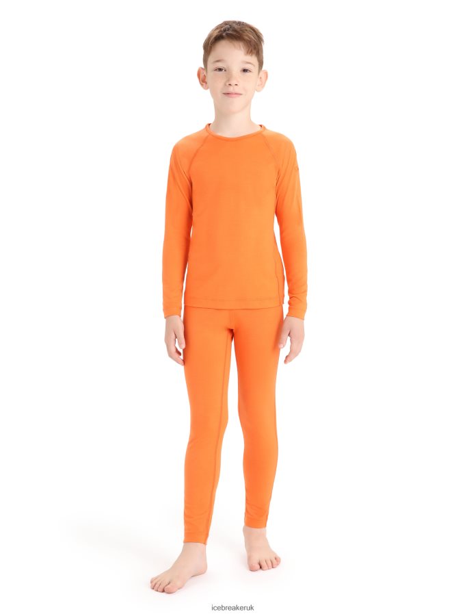 Icebreaker Kids Merino 200 Oasis Long Sleeve Crewe Thermal Top Z04NXR942 Clothing Flash - Image 3