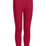 Icebreaker Kids Merino 260 Tech Thermal Leggings Z04NXR941 Clothing Cherry