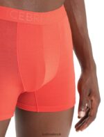 Icebreaker Men Cool-Lite Merino Anatomica Boxers Z04NXR105 Clothing Vibrant Earth - Image 4