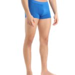 Icebreaker Men Cool-Lite Merino Anatomica Trunks Z04NXR115 Clothing Lazurite