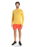 Icebreaker Men Cool-Lite Merino Long Sleeve Hoodie Z04NXR193 Clothing Summer - Image 3