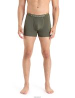 Icebreaker Men Merino Anatomica Boxers With Fly Z04NXR98 Clothing Loden