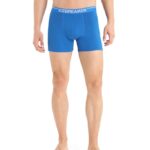 Icebreaker Men Merino Anatomica Boxers Z04NXR111 Clothing Lazurite