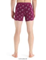 Icebreaker Men Merino Anatomica Boxers Z04NXR113 Clothing Go Berry - Image 2