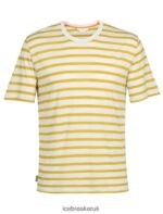 Icebreaker Men Merino Drayden Short Sleeve T-Shirt Stripe Z04NXR396 Clothing Ecru Heather/Silent Gold - Image 6
