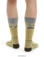Icebreaker Men Merino Hike+ Medium Crew Socks Sedimentary Z04NXR286 Accessories Summer/Loden - Image 2