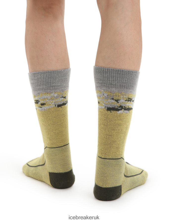 Icebreaker Men Merino Hike+ Medium Crew Socks Sedimentary Z04NXR286 Accessories Summer/Loden - Image 2