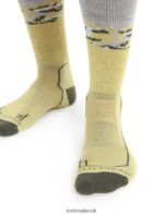 Icebreaker Men Merino Hike+ Medium Crew Socks Sedimentary Z04NXR286 Accessories Summer/Loden - Image 3