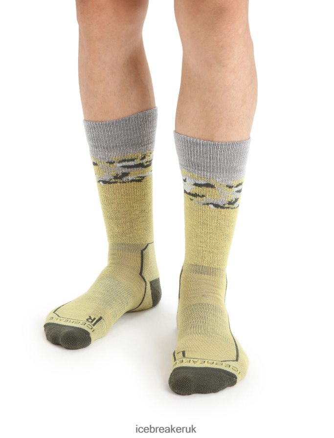Icebreaker Men Merino Hike+ Medium Crew Socks Sedimentary Z04NXR286 Accessories Summer/Loden - Image 1