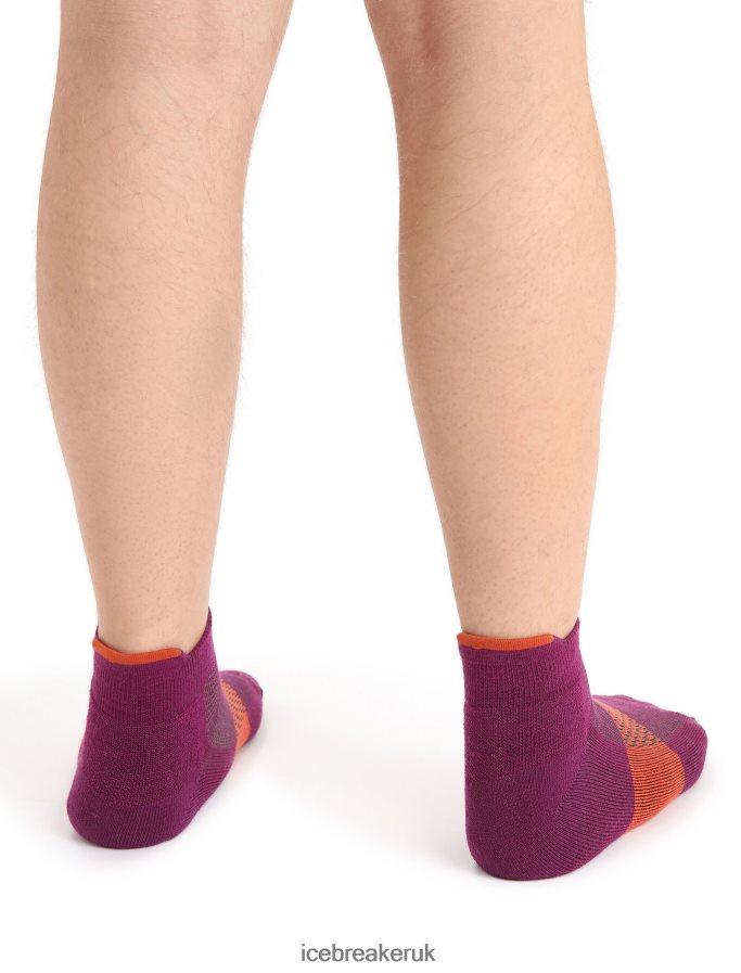 Icebreaker Men Merino Multisport Light Micro Socks Z04NXR281 Accessories Go Berry/Vibrant Earth - Image 2
