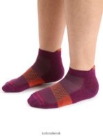 Icebreaker Men Merino Multisport Light Micro Socks Z04NXR281 Accessories Go Berry/Vibrant Earth