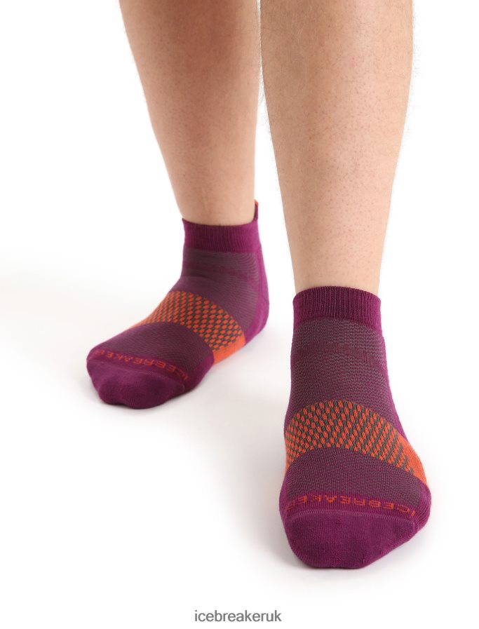 Icebreaker Men Merino Multisport Light Micro Socks Z04NXR281 Accessories Go Berry/Vibrant Earth - Image 3