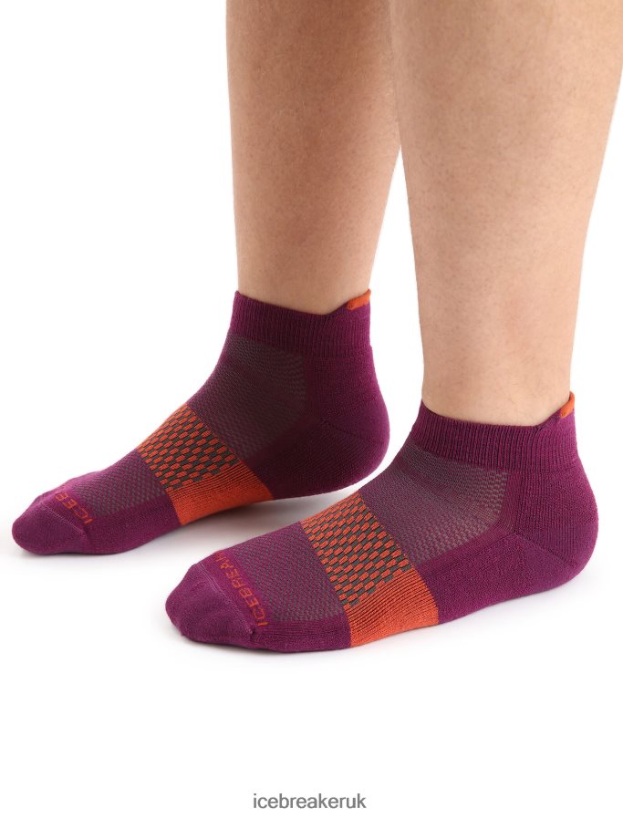 icebreaker_men_merino_multisport_light_micro_socks_z04nxr281_accessories_go_berry_vibrant_earth.jpg Icebreaker Men Merino Multisport Light Micro Socks Z04NXR281 Accessories Go Berry/Vibrant Earth - Image 1