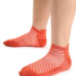 Icebreaker Men Merino Run+ Ultralight Micro Socks Z04NXR266 Accessories Vibrant Earth Heather/Go Berry