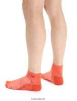 Icebreaker Men Merino Run+ Ultralight Mini Socks Z04NXR278 Accessories Vibrant Earth Heather/Go Berry - Image 2