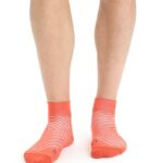 Icebreaker Men Merino Run+ Ultralight Mini Socks Z04NXR278 Accessories Vibrant Earth Heather/Go Berry