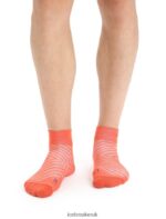 Icebreaker Men Merino Run+ Ultralight Mini Socks Z04NXR278 Accessories Vibrant Earth Heather/Go Berry