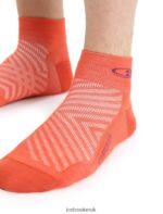 Icebreaker Men Merino Run+ Ultralight Mini Socks Z04NXR278 Accessories Vibrant Earth Heather/Go Berry - Image 3