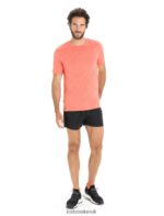 Icebreaker Men Merino Sphere II Short Sleeve T-Shirt Z04NXR8 Clothing Vibrant Earth Heather - Image 3