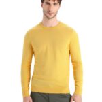 Icebreaker Men Merino Wilcox Long Sleeve Sweater Z04NXR215 Clothing Summer