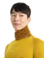Icebreaker Unisex Merino Apex Chute Z04NXR455 Accessories Clove - Image 3