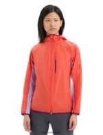 Icebreaker Women Shell+ Merino Cotton Windbreaker Z04NXR680 Clothing Vibrant Earth/Purple Gaze