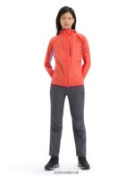 Icebreaker Women Shell+ Merino Cotton Windbreaker Z04NXR680 Clothing Vibrant Earth/Purple Gaze - Image 3