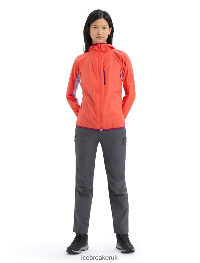 Icebreaker Women Shell+ Merino Cotton Windbreaker Z04NXR680 Clothing Vibrant Earth/Purple Gaze - Image 3