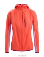 Icebreaker Women Shell+ Merino Cotton Windbreaker Z04NXR680 Clothing Vibrant Earth/Purple Gaze - Image 9