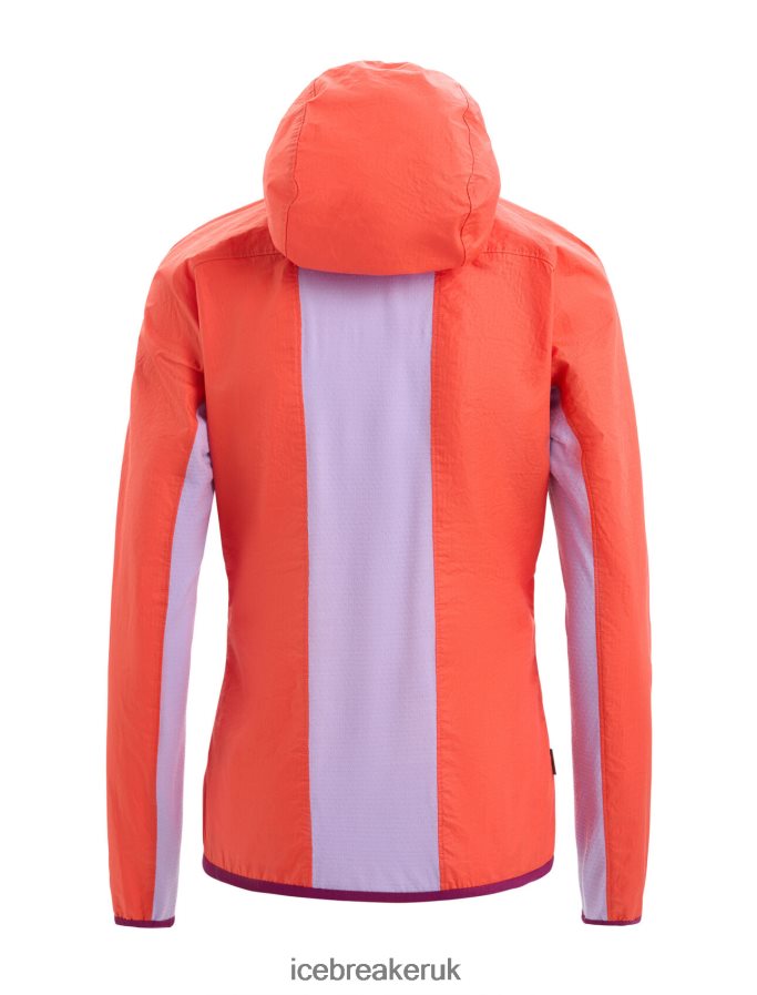 Icebreaker Women Shell+ Merino Cotton Windbreaker Z04NXR680 Clothing Vibrant Earth/Purple Gaze - Image 10