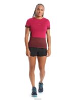 Icebreaker Women ZoneKnit Merino Short Sleeve Slit Back T-Shirt Z04NXR799 Clothing Cherry/Espresso - Image 3